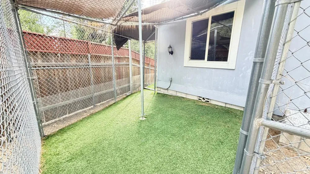 25001 Rim Rock Road Idyllwild, CA 92549