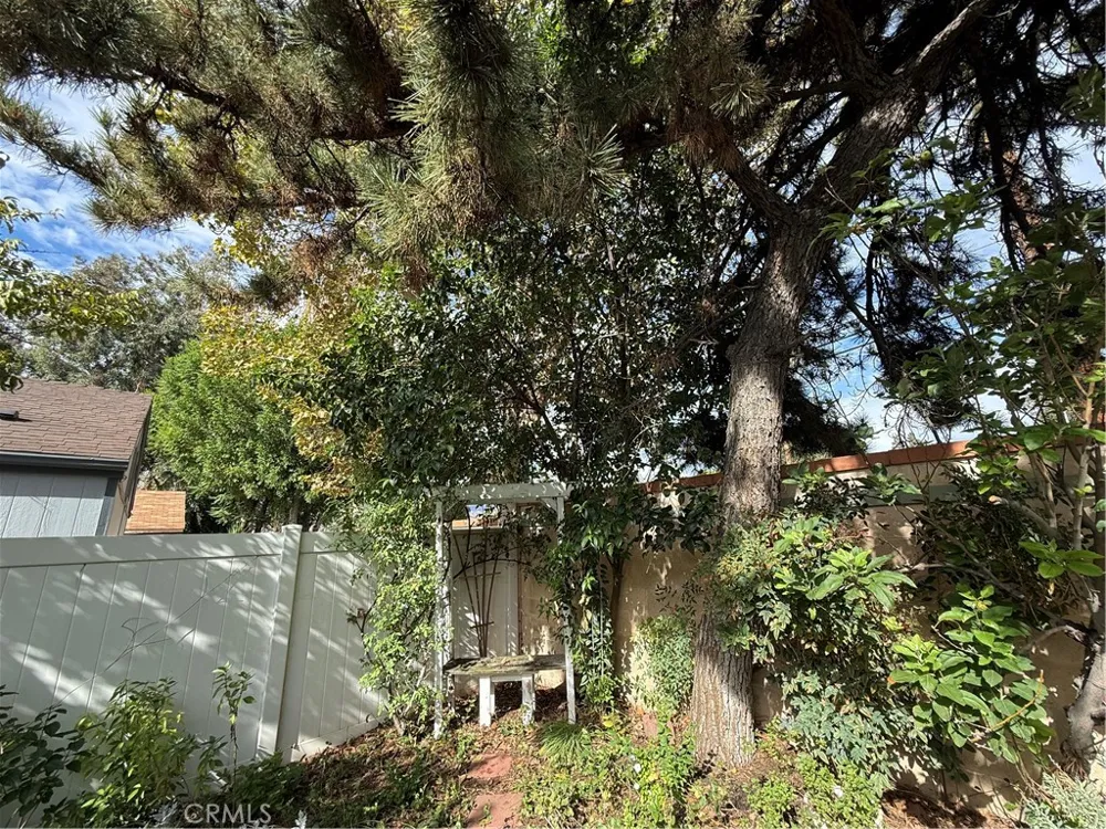 140 W Pioneer #67 Redlands, CA 92374
