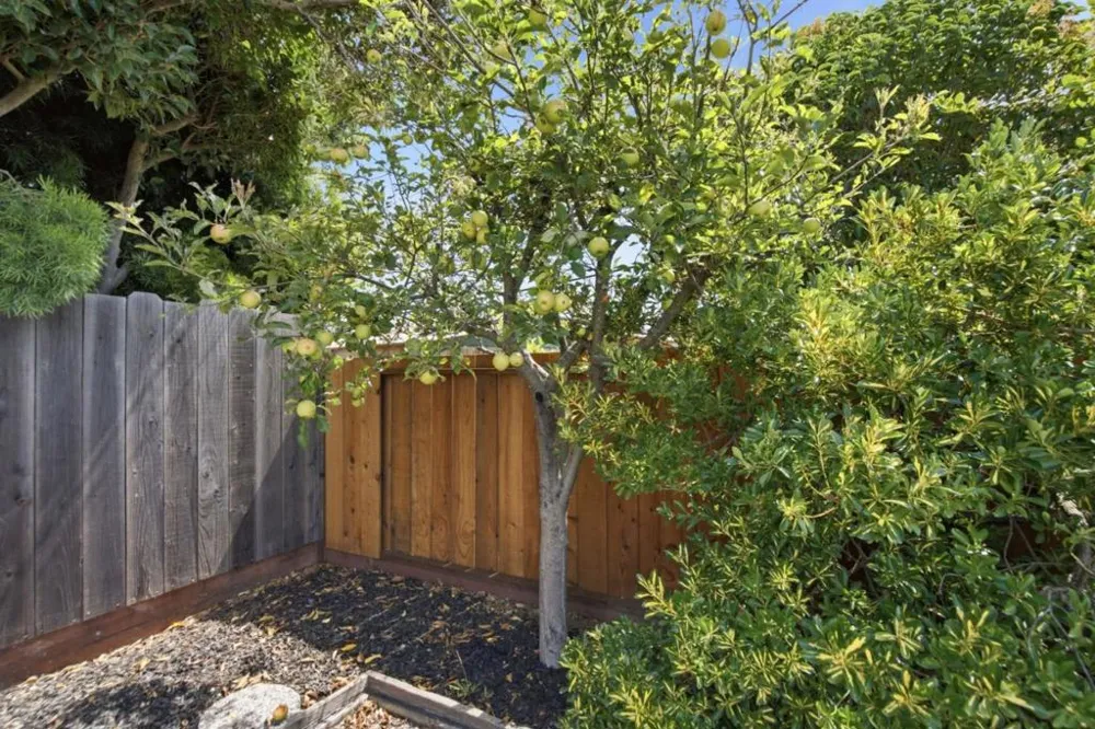 1546 Maxine Avenue San Mateo, CA 94401