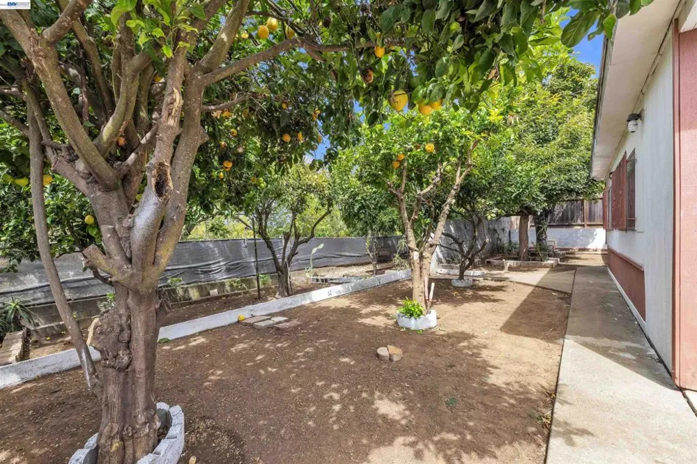 713 Falcon Drive Vallejo, CA 94589