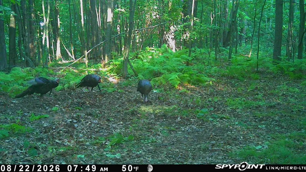 TBD Cty Hwy B Shell Lake, WI 54871