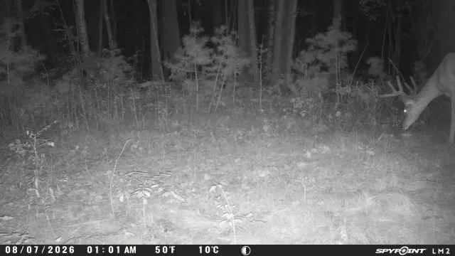 TBD Cty Hwy B Shell Lake, WI 54871