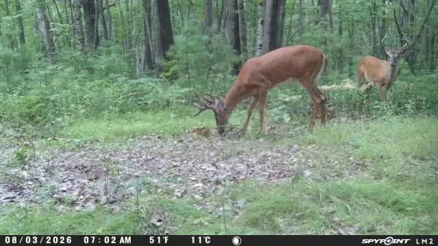 TBD Cty Hwy B Shell Lake, WI 54871