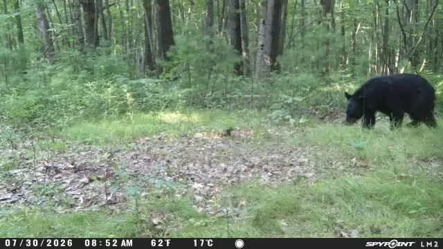 TBD Cty Hwy B Shell Lake, WI 54871