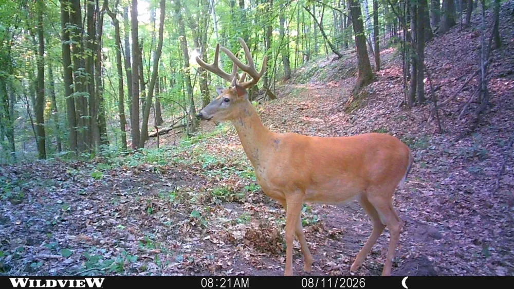 TBD Cty Hwy B Shell Lake, WI 54871