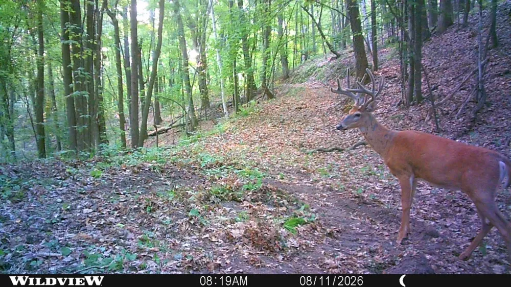 TBD Cty Hwy B Shell Lake, WI 54871