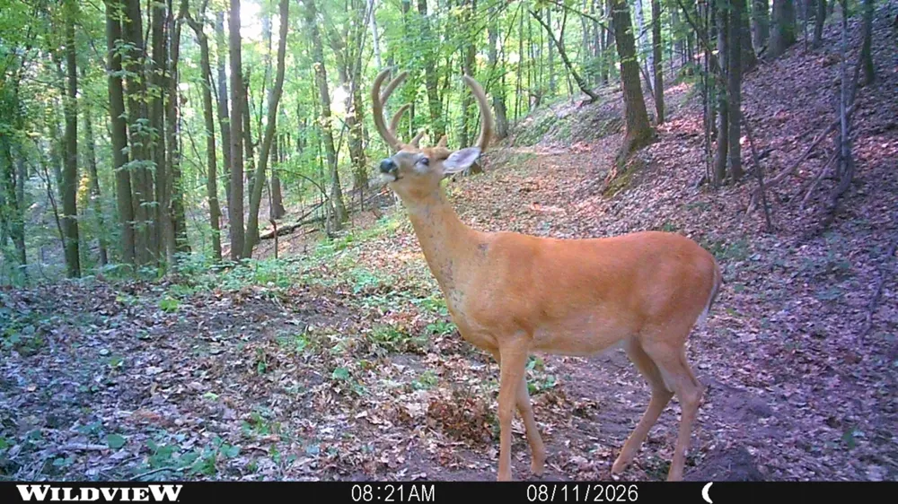 TBD Cty Hwy B Shell Lake, WI 54871