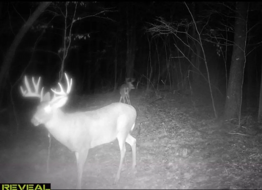 TBD Cty Hwy B Shell Lake, WI 54871