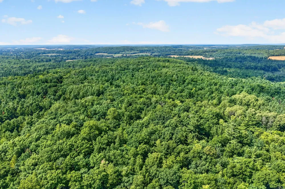 TBD Cty Hwy B Shell Lake, WI 54871