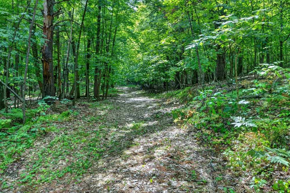 TBD Cty Hwy B Shell Lake, WI 54871