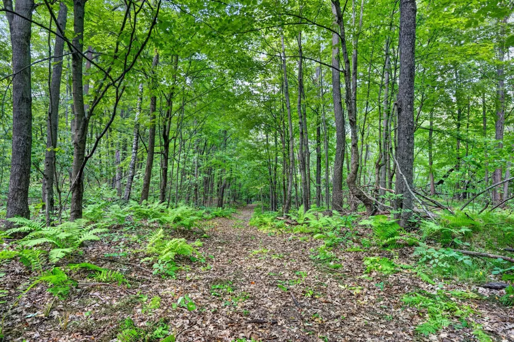 TBD Cty Hwy B Shell Lake, WI 54871