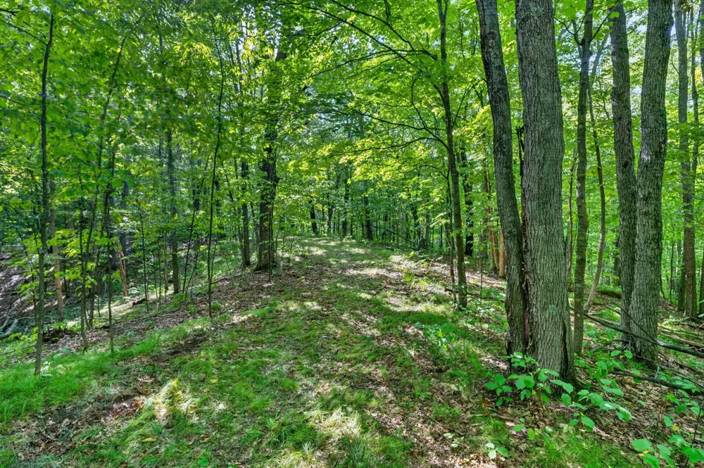 TBD Cty Hwy B Shell Lake, WI 54871