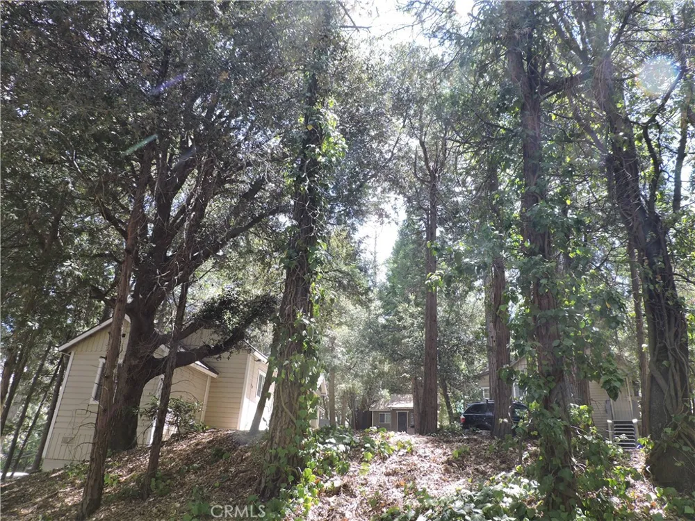 657 Knoll Crestline, CA 92325