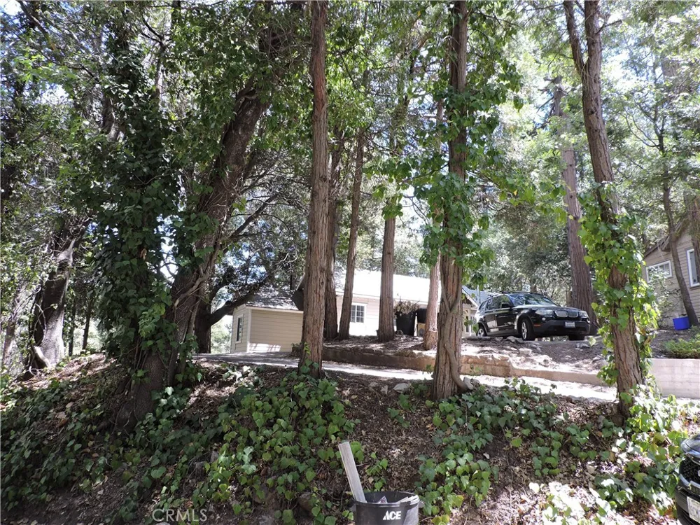 657 Knoll Crestline, CA 92325