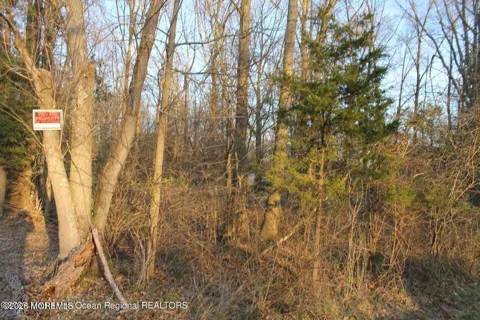 217 Brookville Road