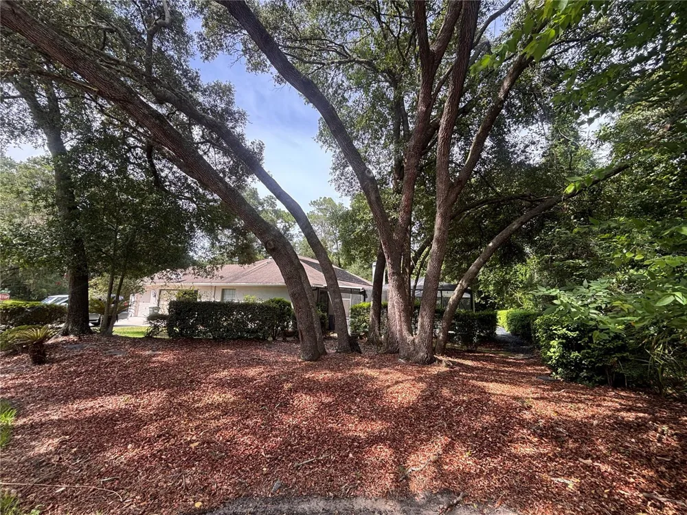 19203 SW 98TH LOOP Dunnellon, FL 34432