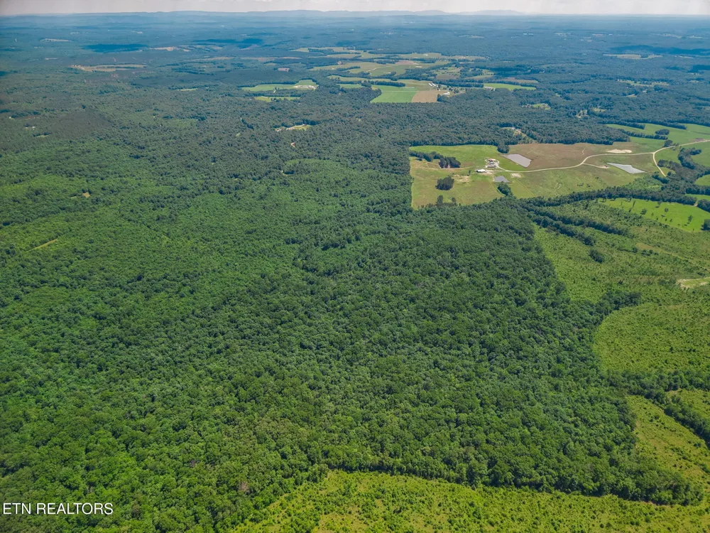 246 Perkins Tr Deer Lodge, TN 37726