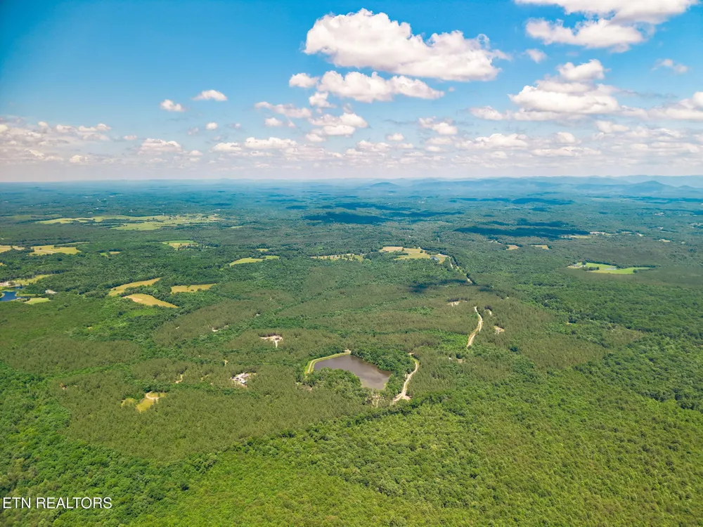 246 Perkins Tr Deer Lodge, TN 37726