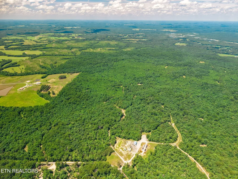 246 Perkins Tr Deer Lodge, TN 37726