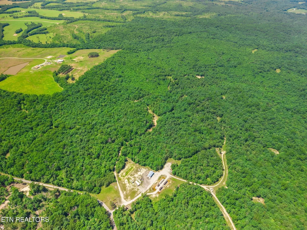 246 Perkins Tr Deer Lodge, TN 37726