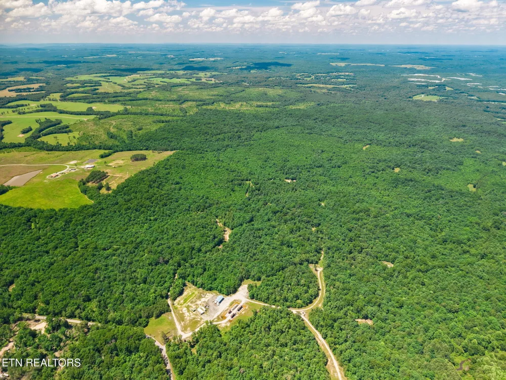 246 Perkins Tr Deer Lodge, TN 37726