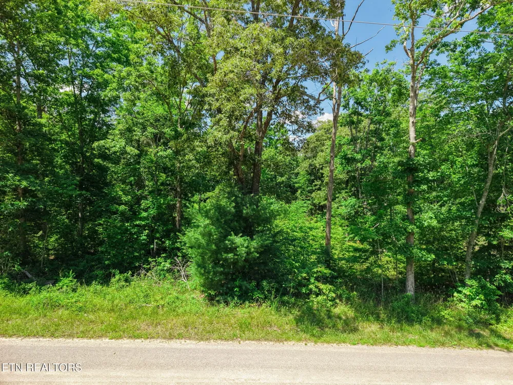 246 Perkins Tr Deer Lodge, TN 37726