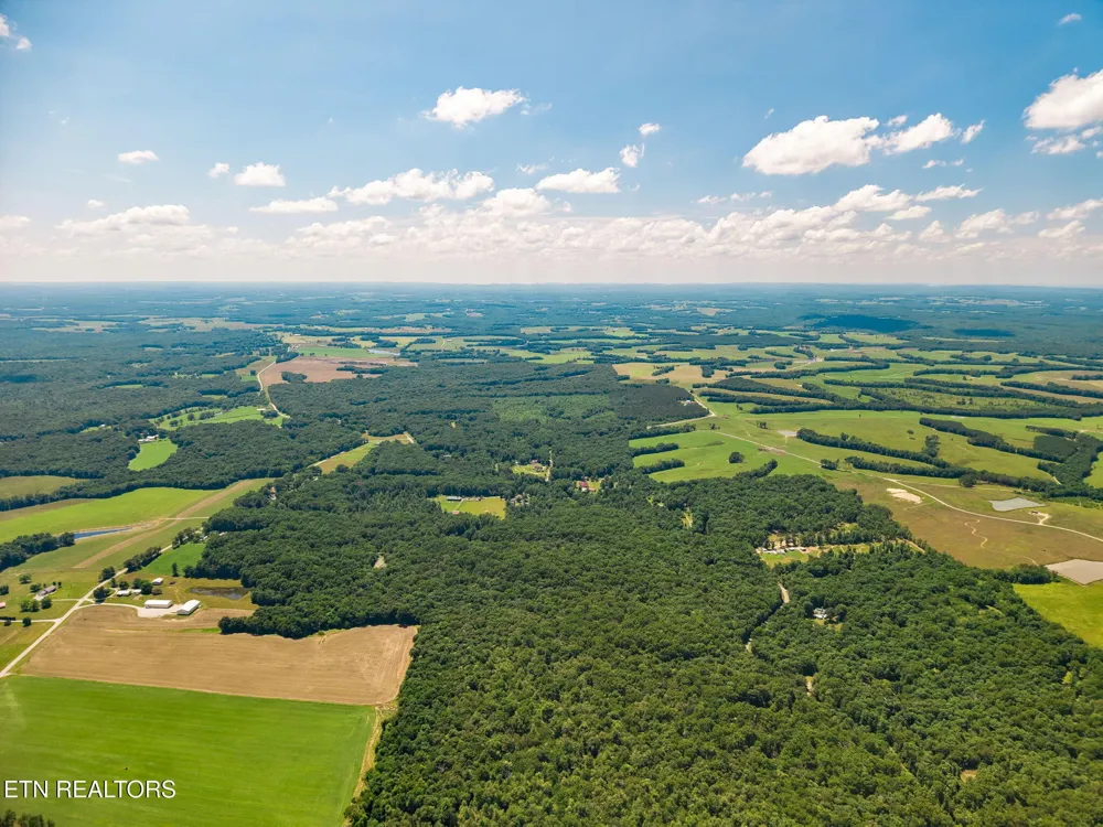 246 Perkins Tr Deer Lodge, TN 37726