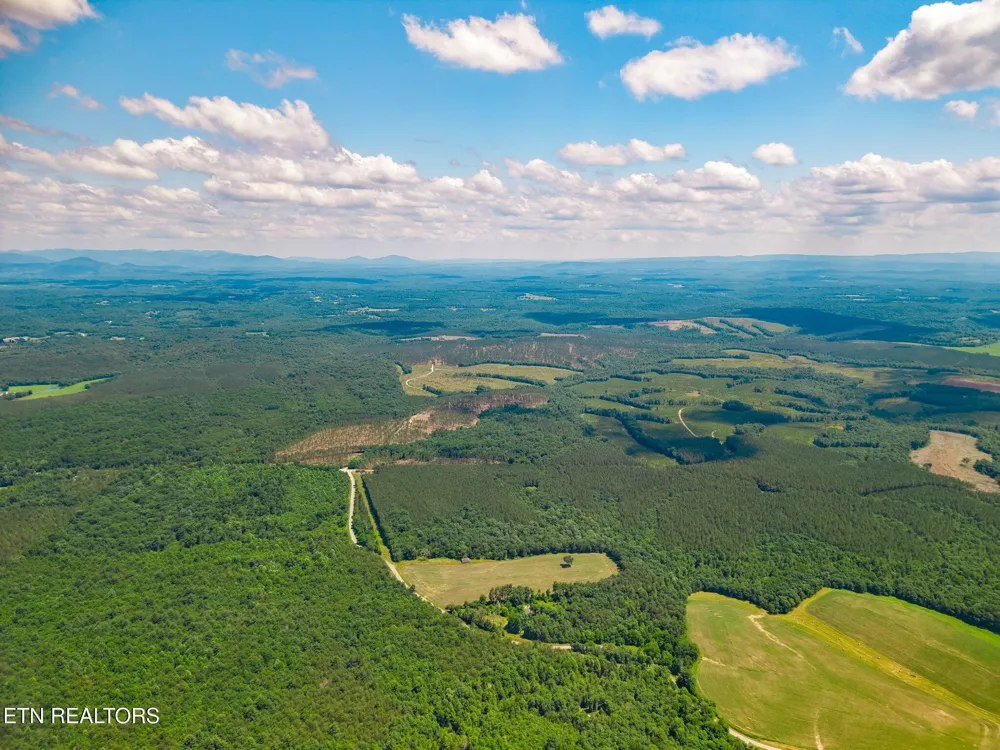 246 Perkins Tr Deer Lodge, TN 37726