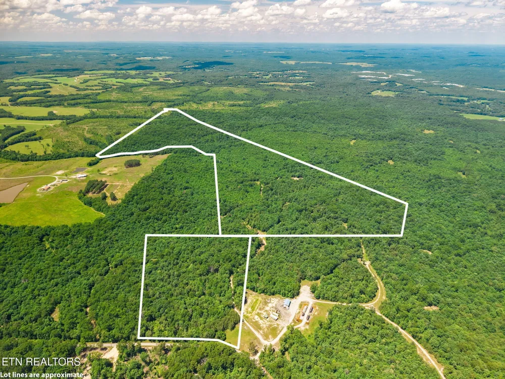 246 Perkins Tr Deer Lodge, TN 37726