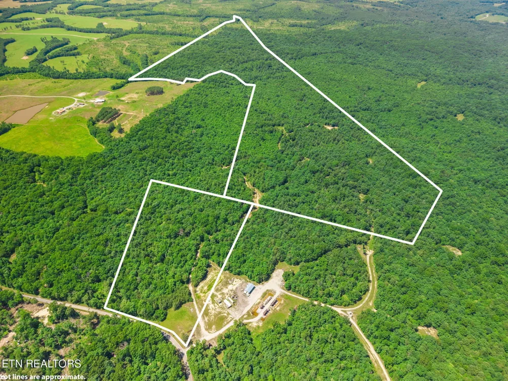 246 Perkins Tr Deer Lodge, TN 37726