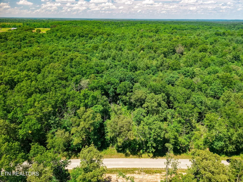 246 Perkins Tr Deer Lodge, TN 37726