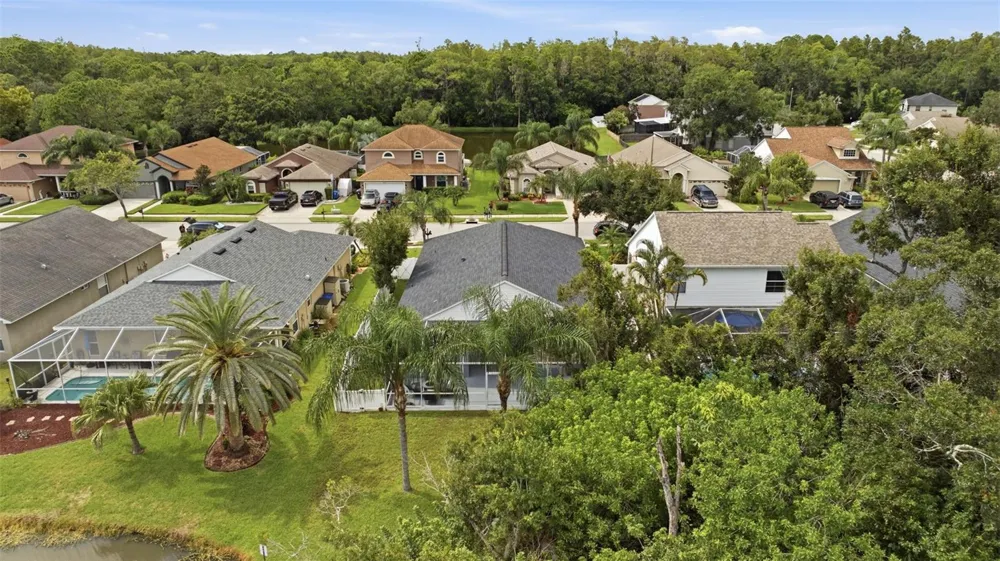 416 CYPRESS VIEW DRIVE Oldsmar, FL 34677