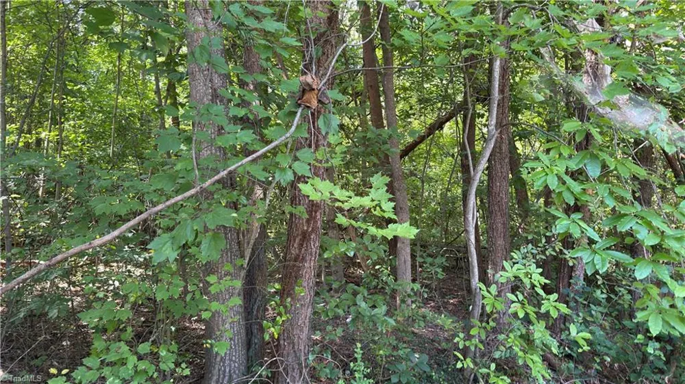 00 Sherry Lane Yadkinville, NC 27055