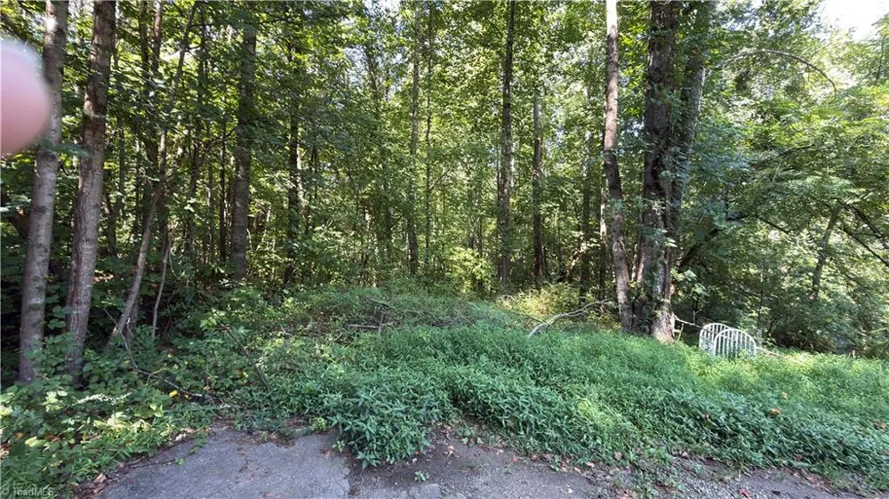 00 Sherry Lane Yadkinville, NC 27055