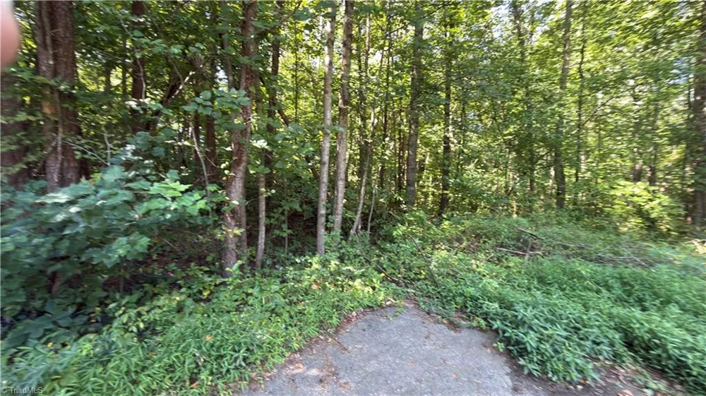 00 Sherry Lane Yadkinville, NC 27055