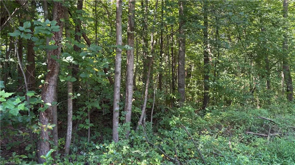 00 Sherry Lane Yadkinville, NC 27055