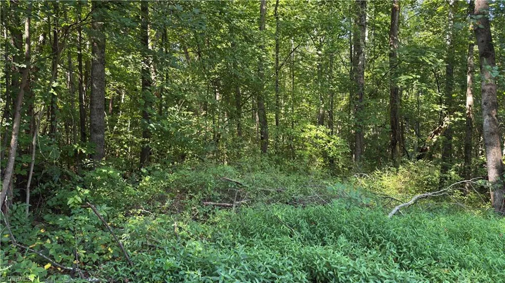00 Sherry Lane Yadkinville, NC 27055