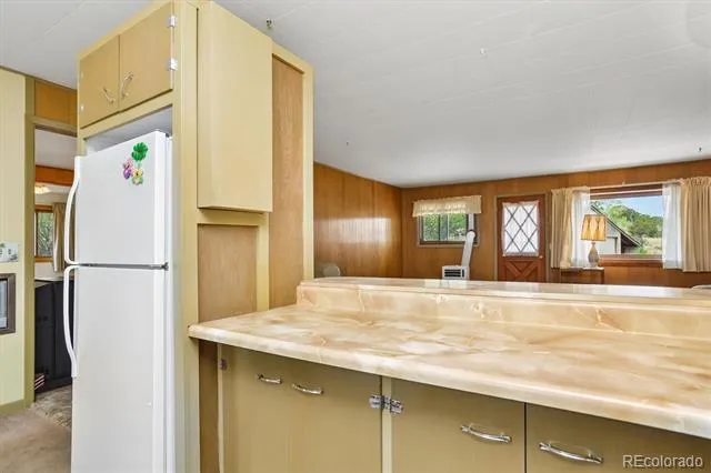 15380 County Road 350 Buena Vista, CO 81211