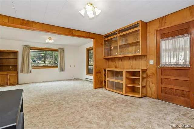 15380 County Road 350 Buena Vista, CO 81211