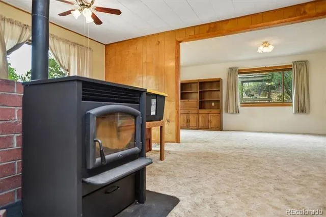 15380 County Road 350 Buena Vista, CO 81211