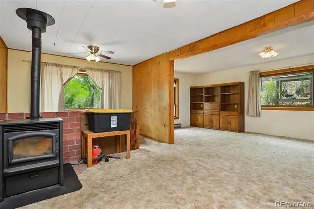 15380 County Road 350 Buena Vista, CO 81211