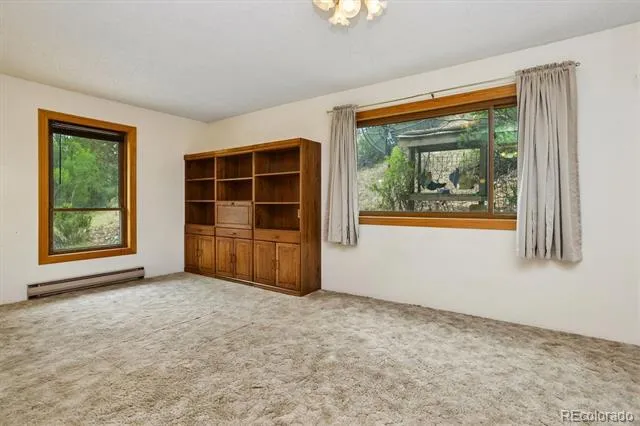 15380 County Road 350 Buena Vista, CO 81211