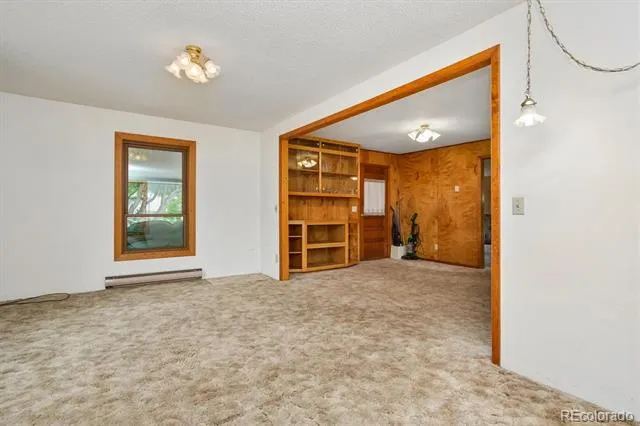 15380 County Road 350 Buena Vista, CO 81211