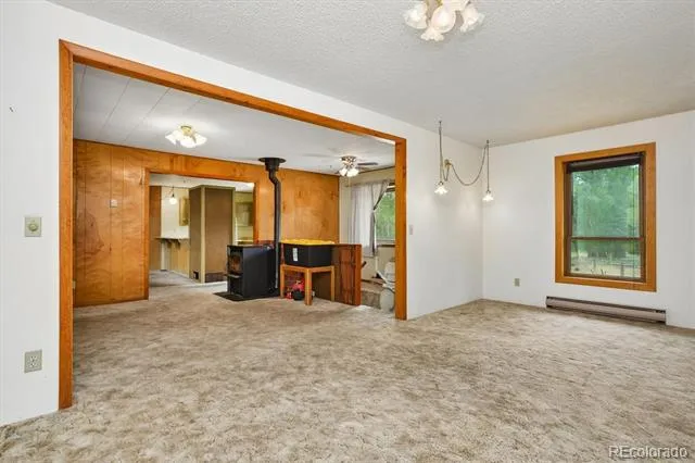 15380 County Road 350 Buena Vista, CO 81211