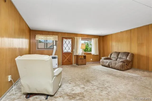 15380 County Road 350 Buena Vista, CO 81211