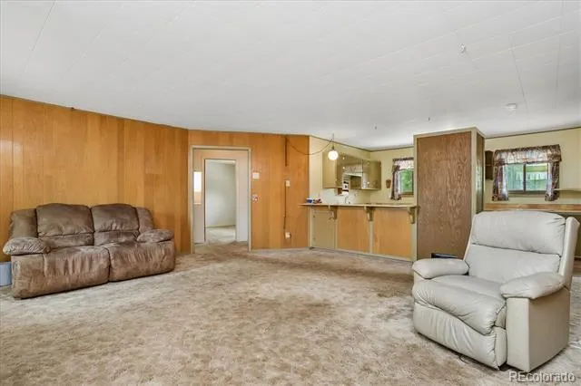 15380 County Road 350 Buena Vista, CO 81211