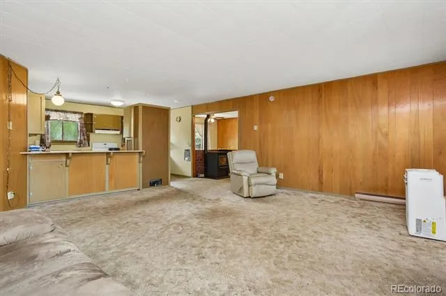 15380 County Road 350 Buena Vista, CO 81211