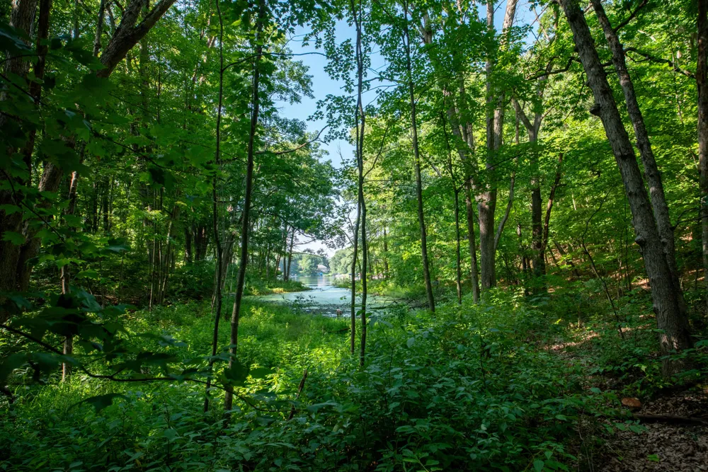 3788 Siebers Lane NE Grand Rapids, MI 49525
