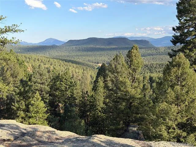 237 Road B Pine, CO 80470
