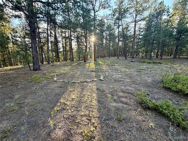 237 Road B Pine, CO 80470
